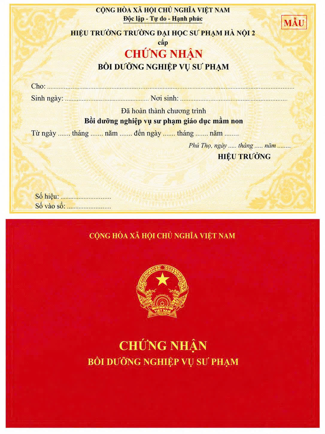 chung-chi-nghiep-vu-su-pham-mam-non