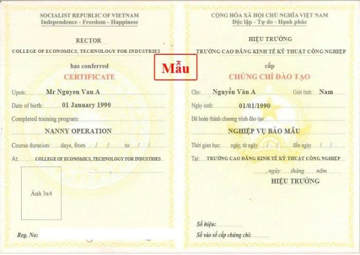 mau-chung-chi-bao-mau-mam-non